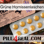 Grüne Hornissenlaschen 41